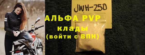 индика Богородск