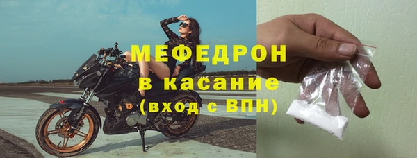 индика Богородск