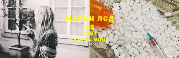 индика Богородск