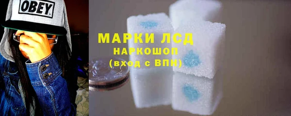 индика Богородск