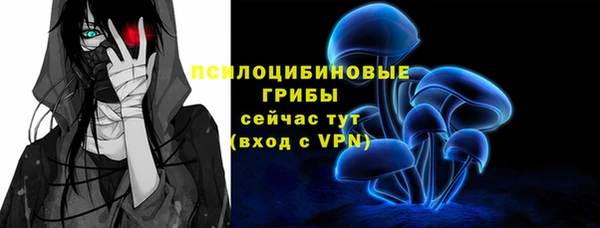 индика Богородск