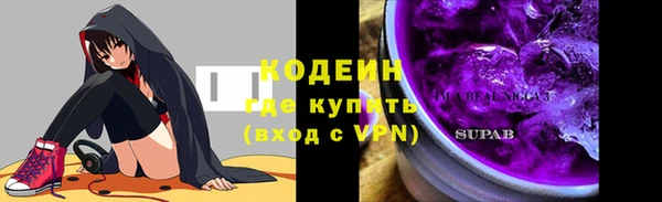 индика Богородск
