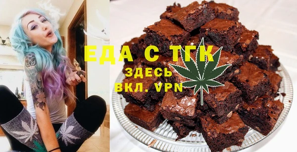 индика Богородск