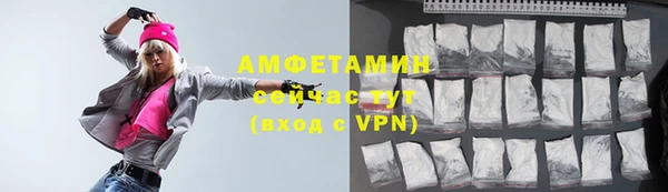 индика Богородск