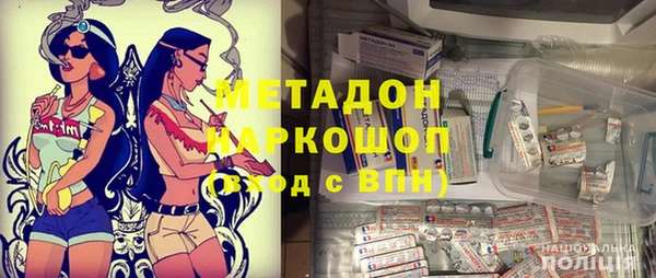 индика Богородск