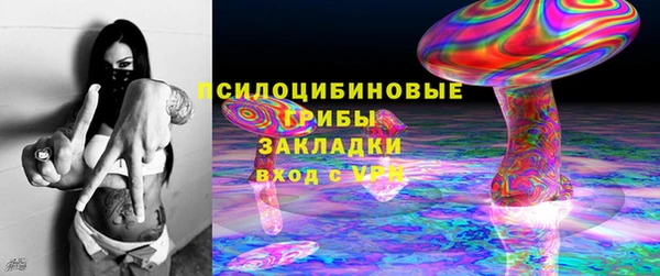 бошки Богданович