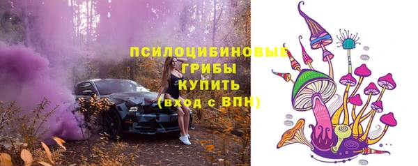 бошки Богданович