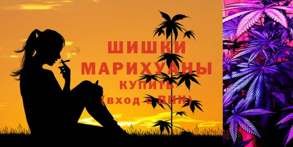 бошки Богданович