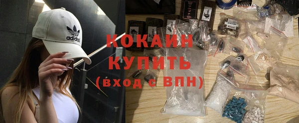 индика Богородск