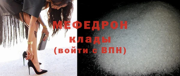 индика Богородск